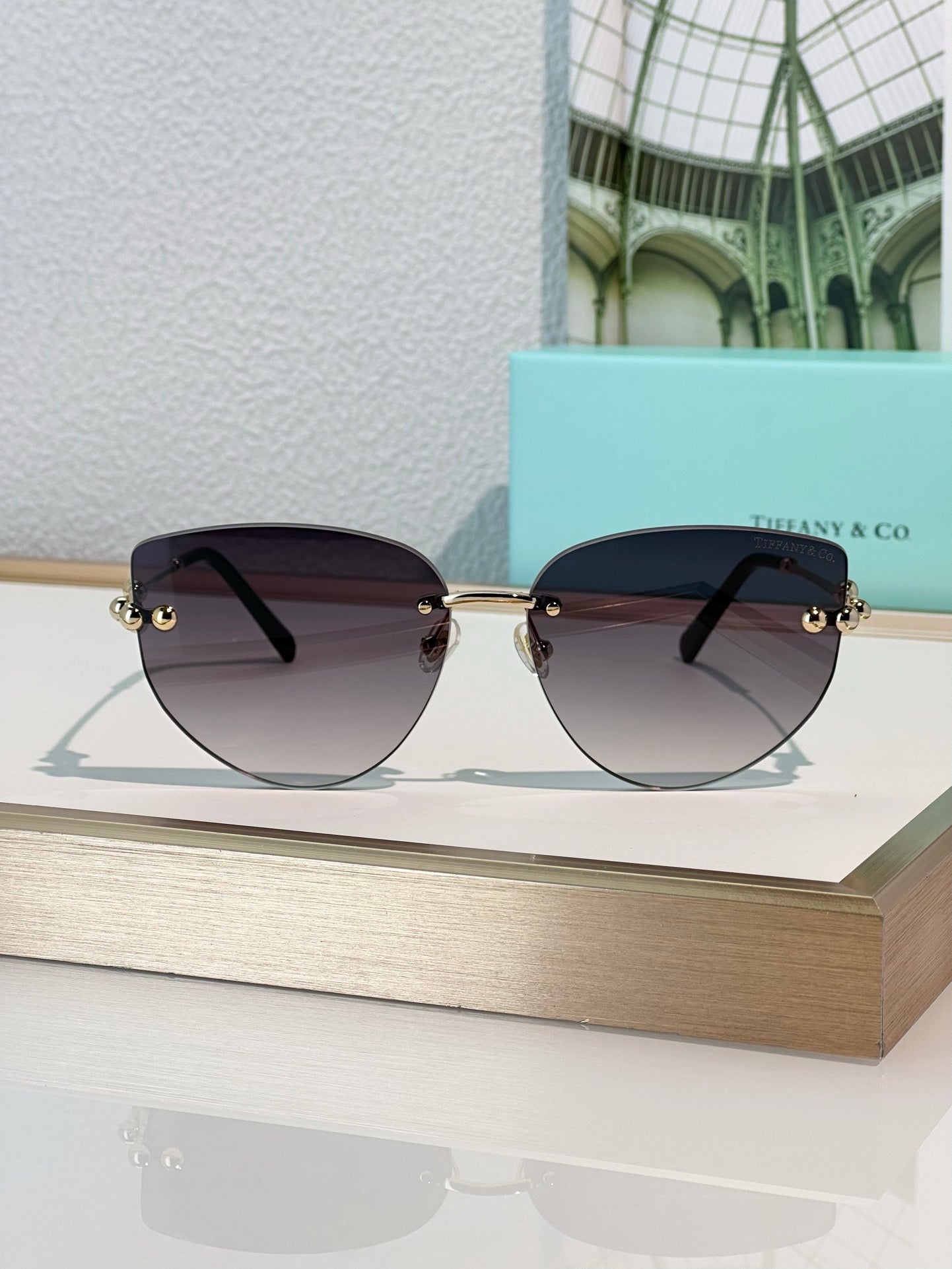 TIFFANY & CO TF3096 Women's Sunglasses ✨