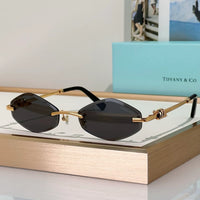 TIFFANY TF2021L Women's Sunglasses ✨