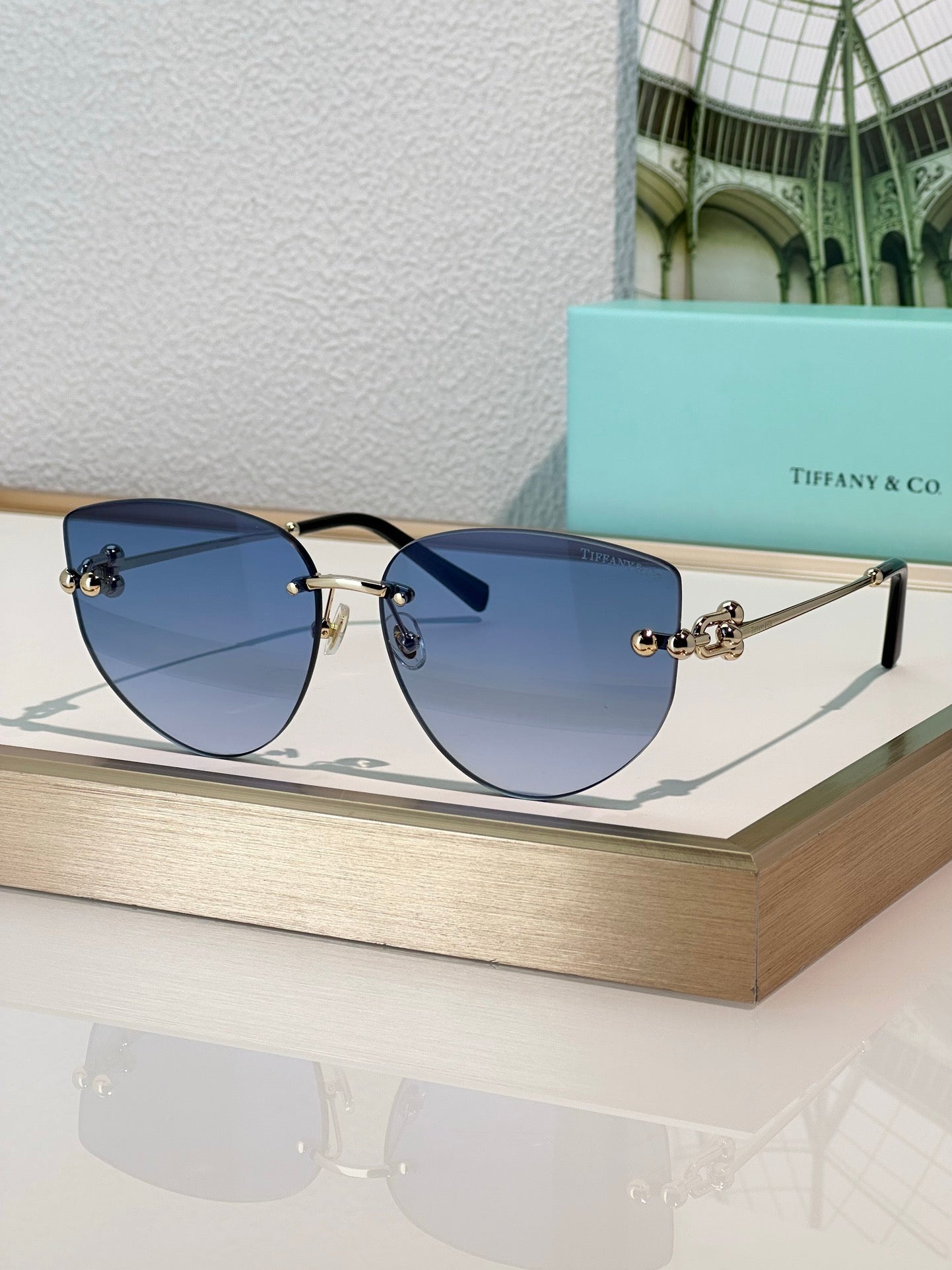 TIFFANY & CO TF3096 Women's Sunglasses ✨