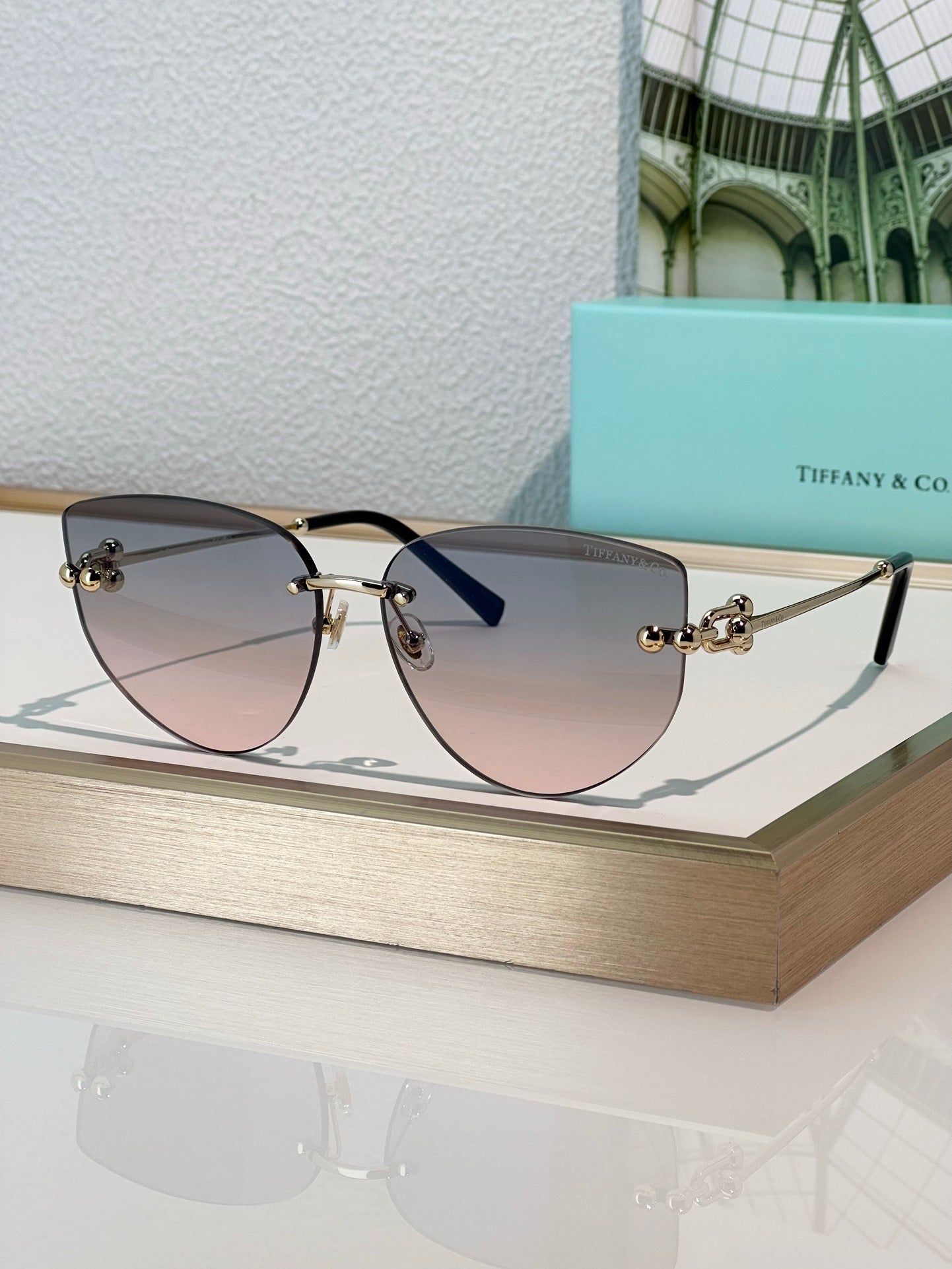 TIFFANY & CO TF3096 Women's Sunglasses ✨