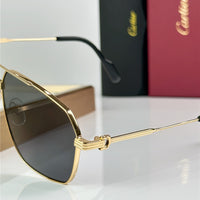Cartier CT02710 Sunglasses 🐆