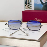 Cartier CLASSIC C DE  Motif Photochromic - Panthere CT0832 Sunglasses 🐆