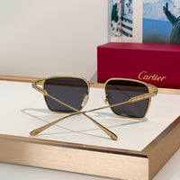 Cartier PREMIÈRE DE CARTIER CT0614O 002 Titanium Sunglasses 🐆