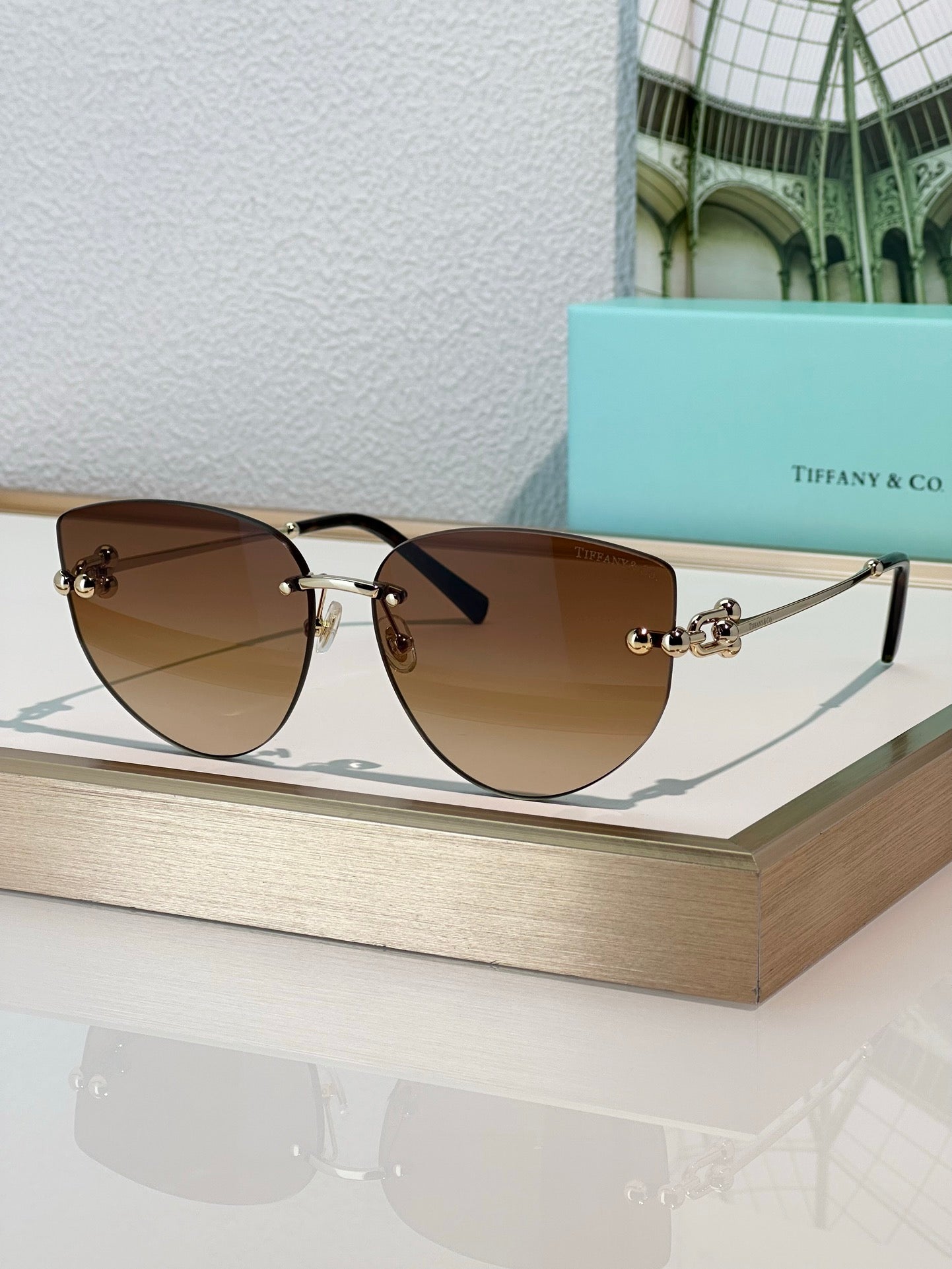 TIFFANY & CO TF3096 Women's Sunglasses ✨