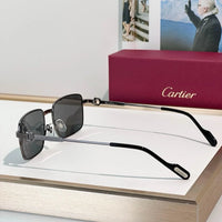 Cartier CT0314 001 Sunglasses 🐆
