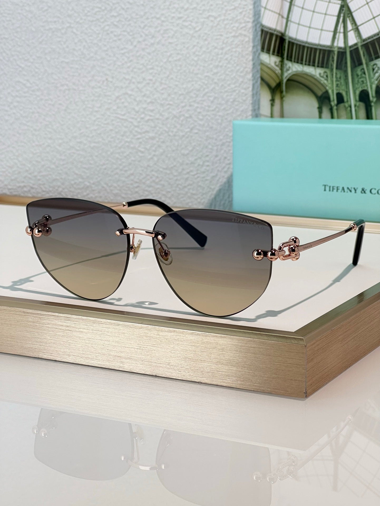 TIFFANY & CO TF3096 Women's Sunglasses ✨