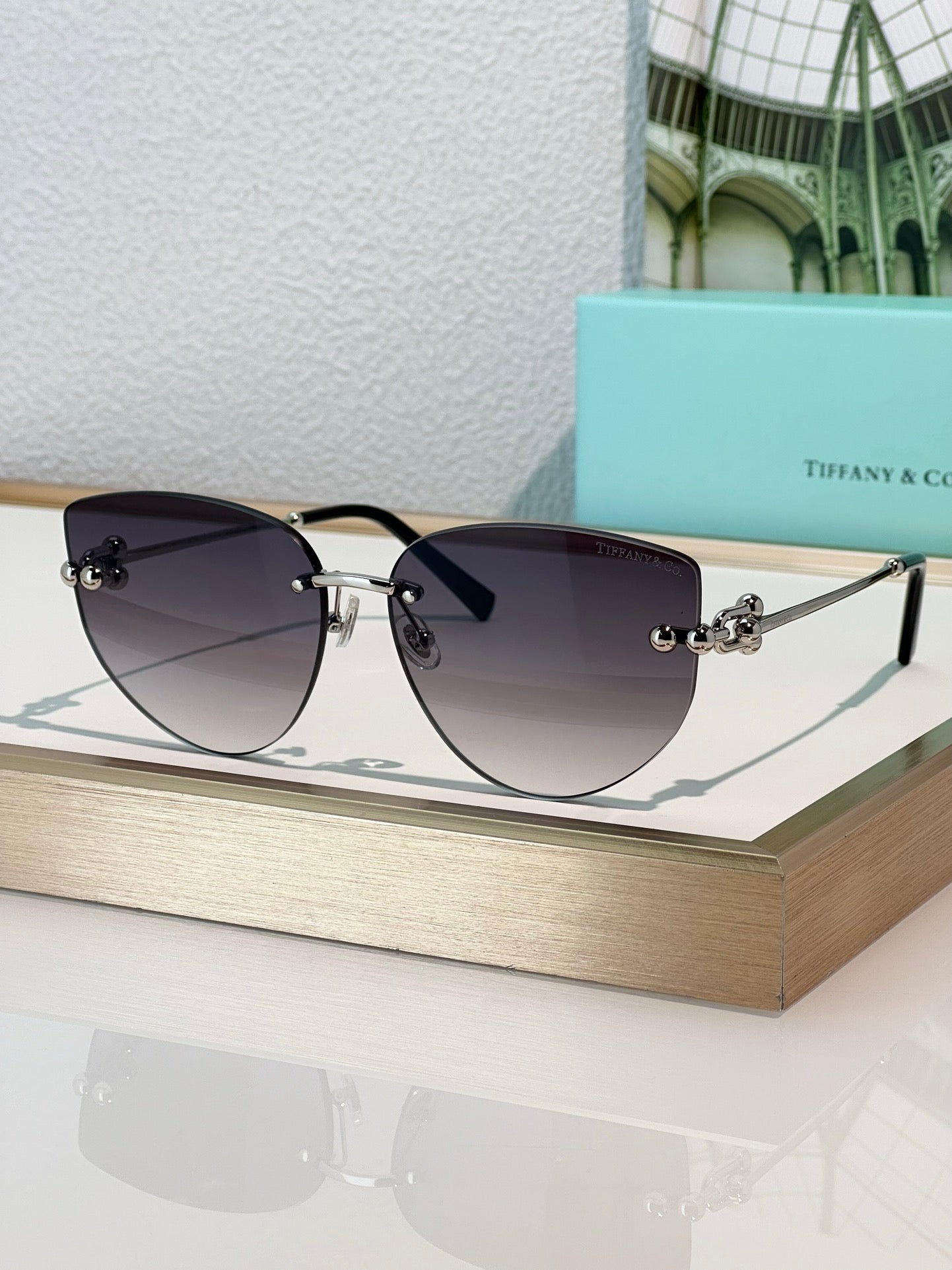 TIFFANY & CO TF3096 Women's Sunglasses ✨