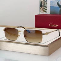 Cartier CT0314 001 Sunglasses 🐆