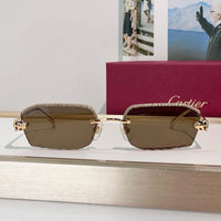 Cartier CLASSIC C DE CARTIER MOTIF Panthere CT0815 Sunglasses 🐆