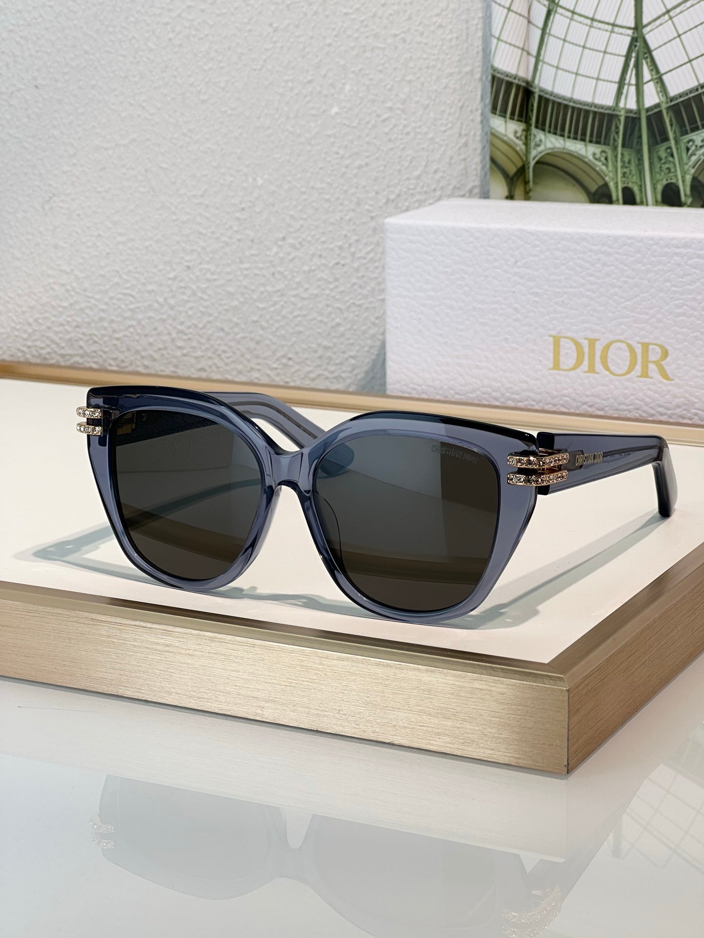 DIOR CDior B4F Black Butterfly  Sunglasses✨