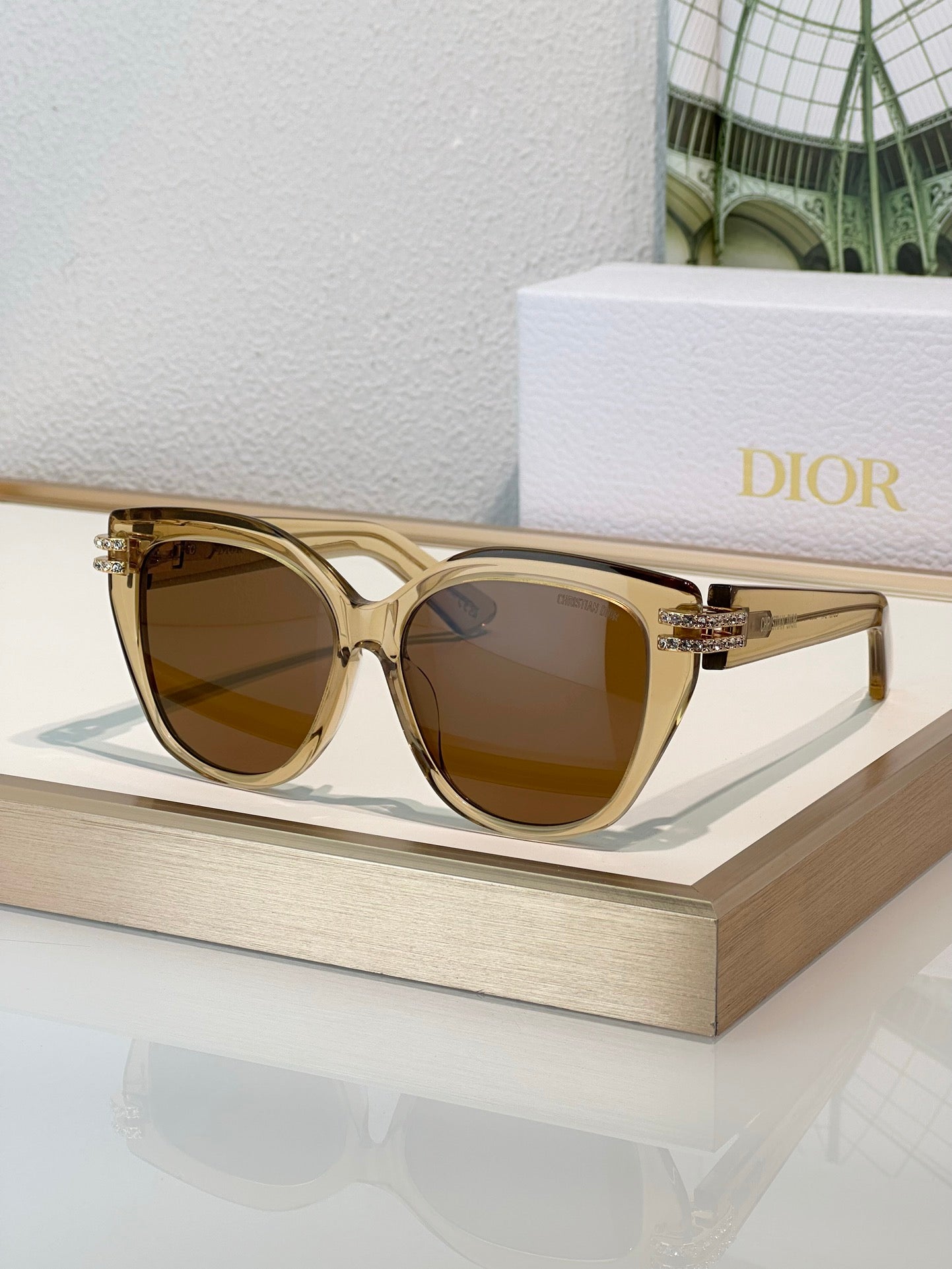 DIOR CDior B4F Black Butterfly  Sunglasses✨