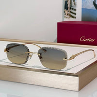 Cartier CLASSIC C DE  Motif Photochromic - Panthere CT0832 Sunglasses 🐆