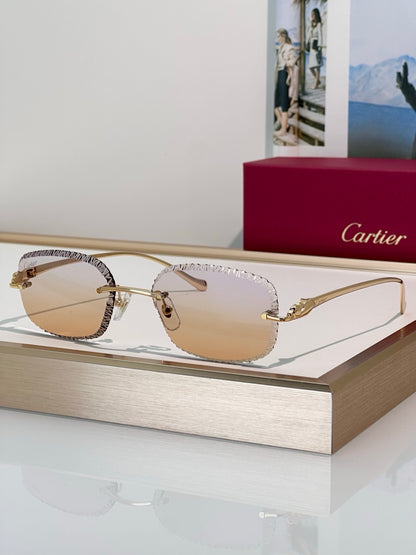 Cartier CLASSIC C DE  Motif Photochromic - Panthere CT0832 Sunglasses 🐆 - onlinechics.com