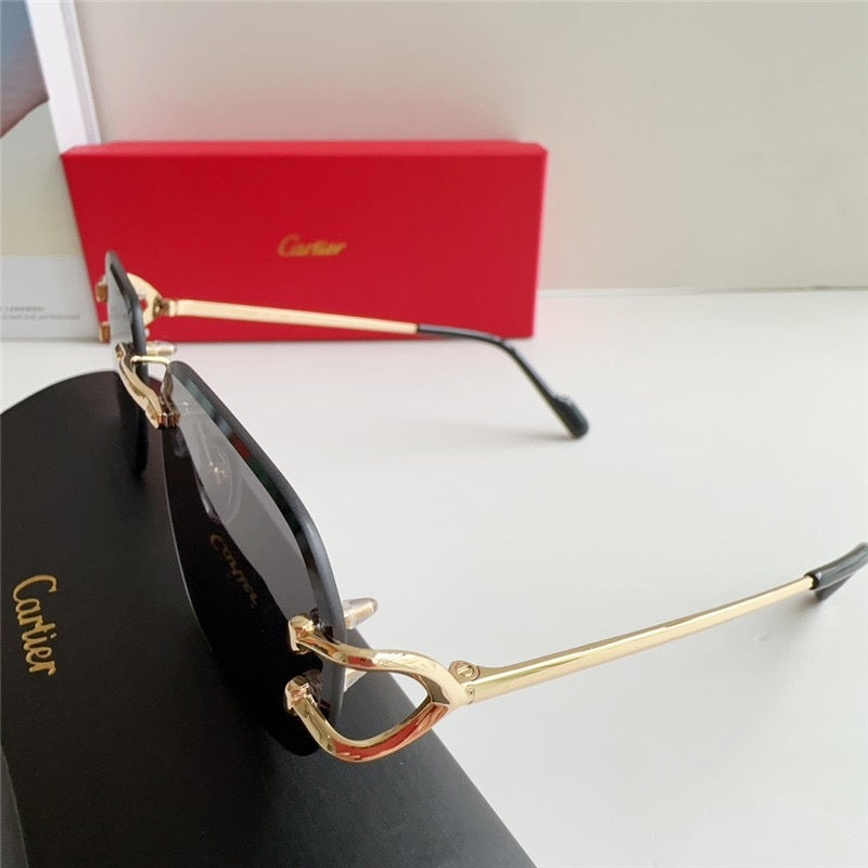 Cartier PREMIÈRE DE CARTIER CT0468S Sunglasses 🐆