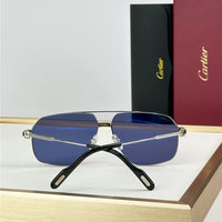 Cartier CT02710 Sunglasses 🐆