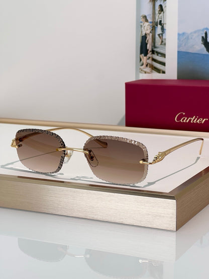 Cartier CLASSIC C DE  Motif Photochromic - Panthere CT0832 Sunglasses 🐆 - onlinechics.com
