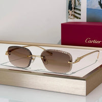 Cartier CLASSIC C DE  Motif Photochromic - Panthere CT0832 Sunglasses 🐆