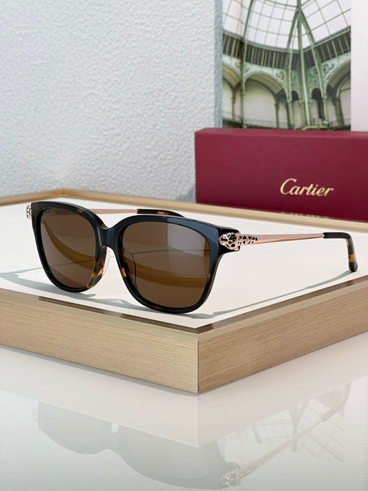 Cartier PREMIÈRE DE CARTIER SUNGLASSES  CT0210 🐆