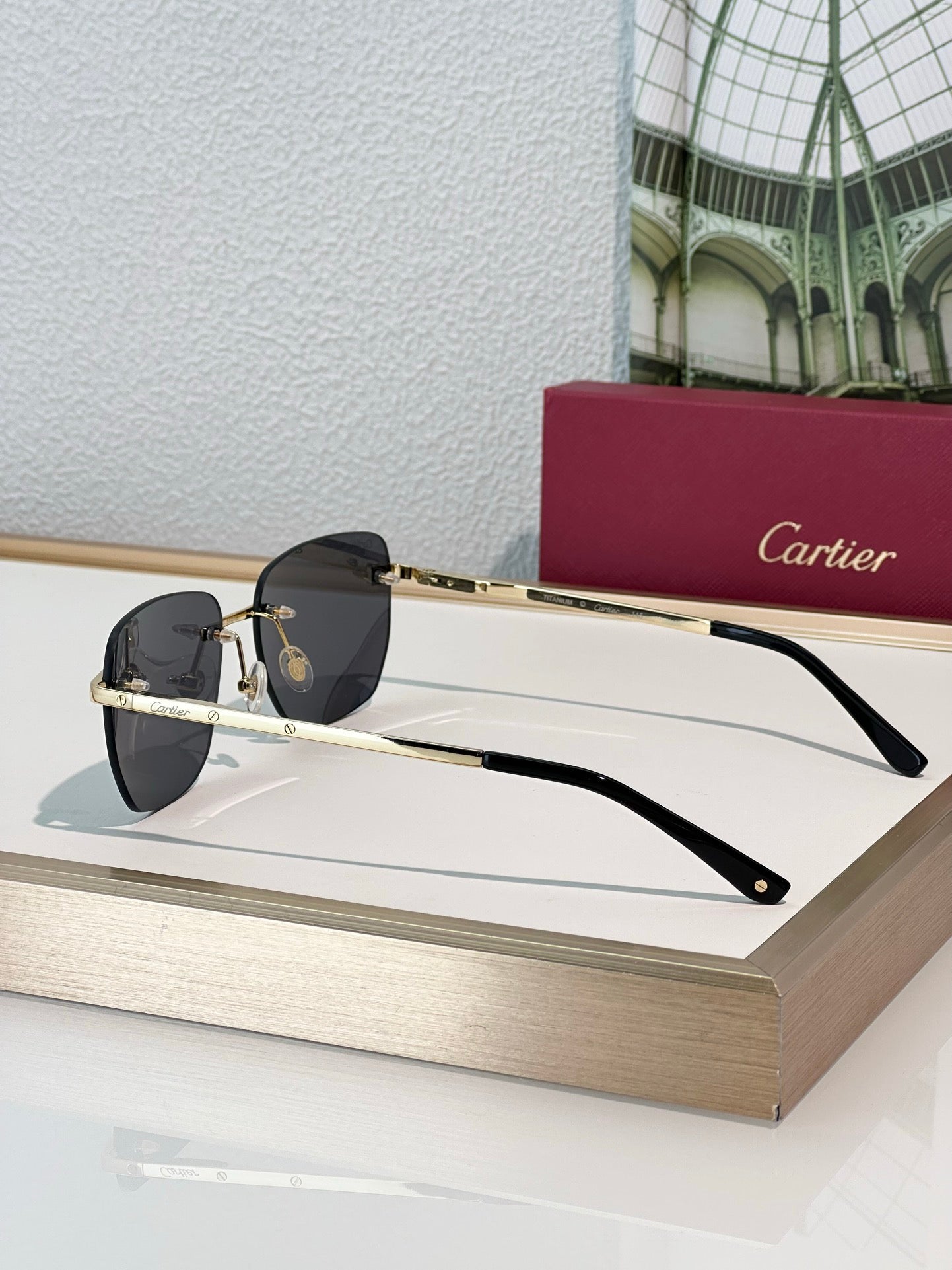 Cartier PREMIÈRE DE CARTIER Panthere CT0336O Sunglasses 🐆