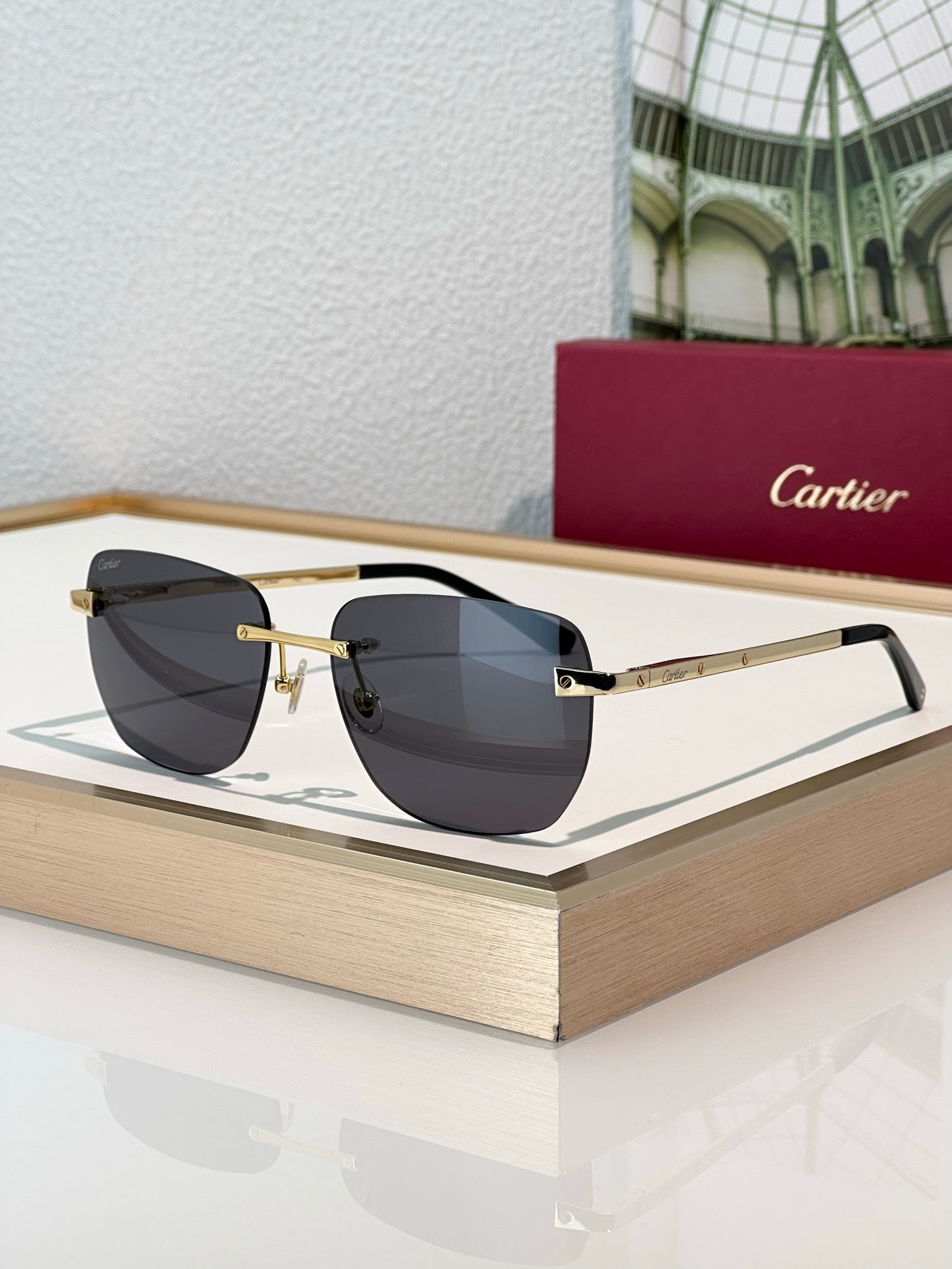 Cartier PREMIÈRE DE CARTIER Panthere CT0336O Sunglasses 🐆