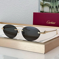 Cartier PREMIÈRE Panthère Classic 58MM Oval Photochromic Sunglasses 🐆