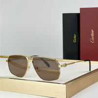 Cartier CT02710 Sunglasses 🐆