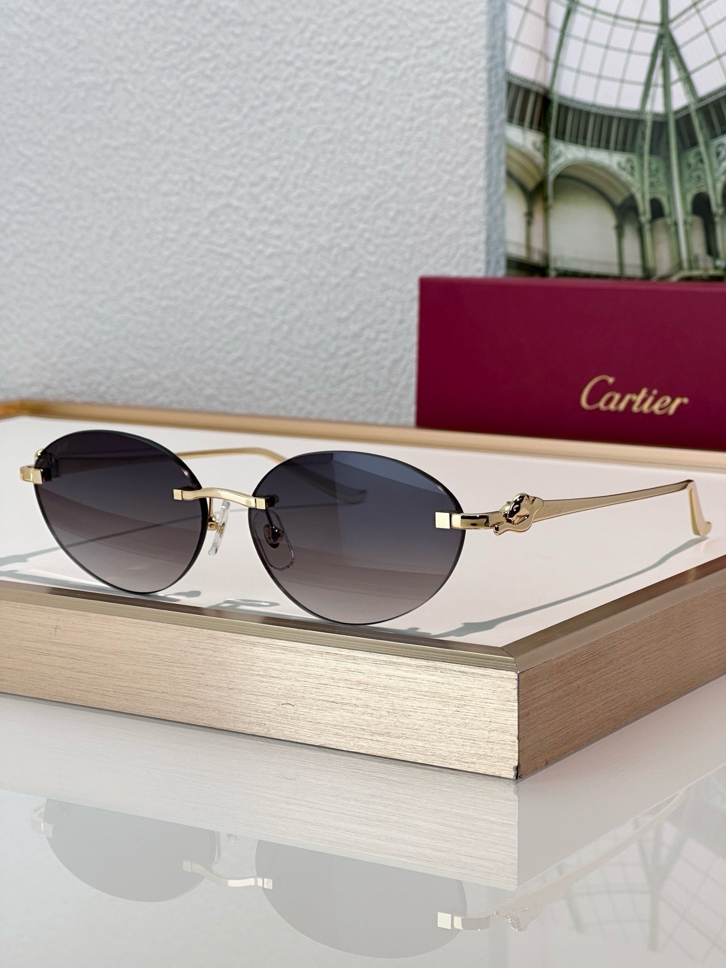 Cartier PREMIÈRE Panthère Classic 58MM Oval Photochromic Sunglasses 🐆