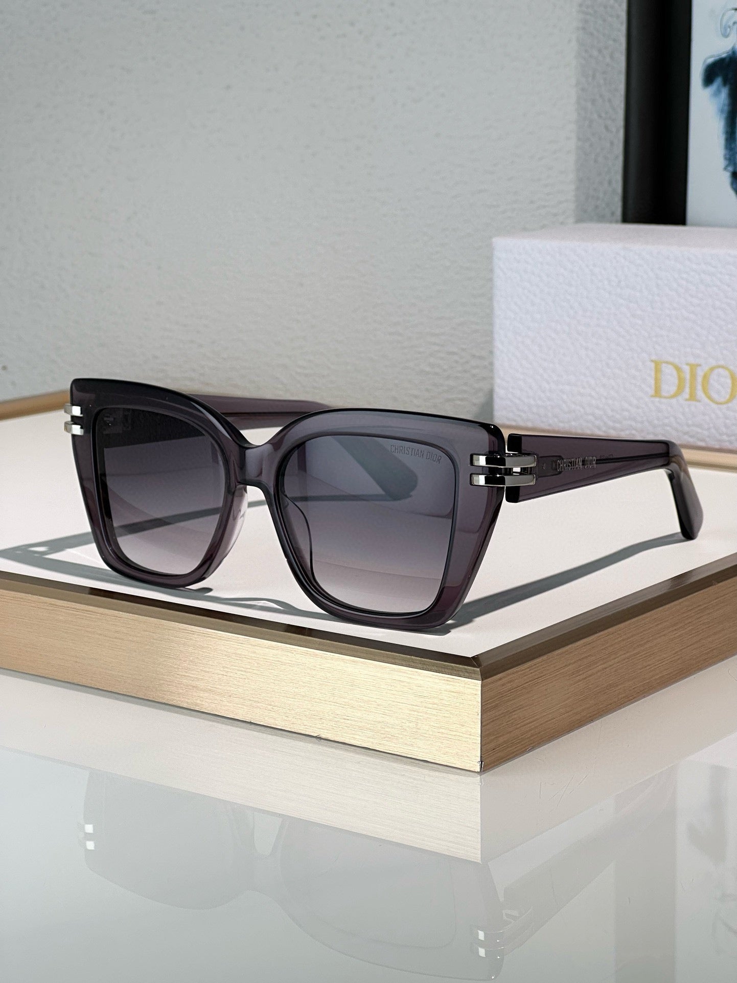 DIOR Sunglasses CDior S1F Sunglasses✨