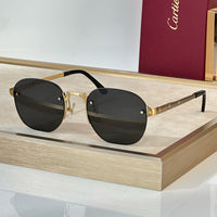 Cartier PREMIÈRE DE CARTIER CT0459S Sunglasses 🐆