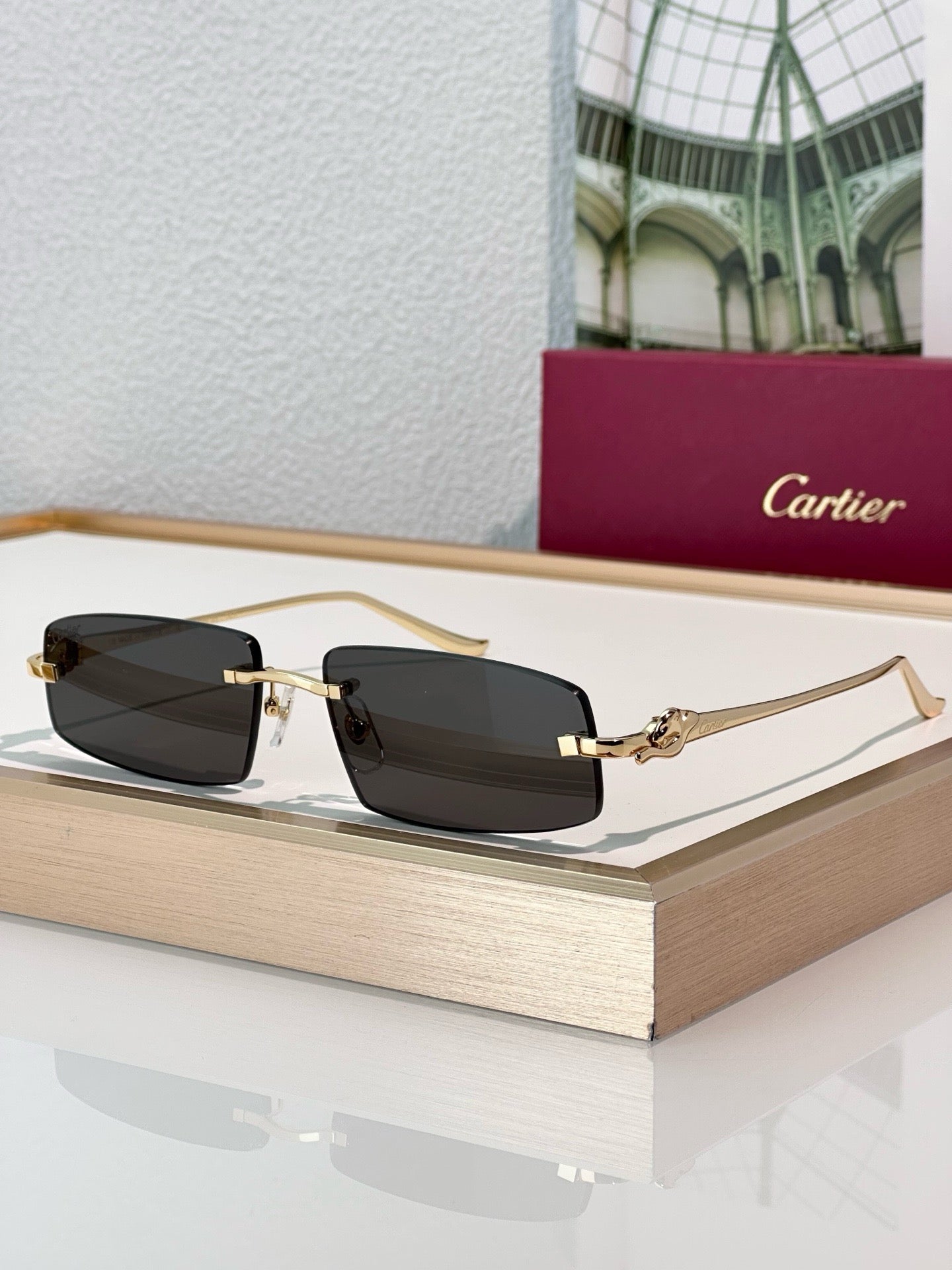 Cartier PREMIÈRE DE CARTIER CT505S Sunglasses-Photochromic Glasses 🐆