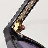 Loro Piana Roadster Acetate Unisex Sunglasses 🍂