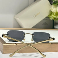 Cartier PREMIÈRE DE CARTIER CT0058O Sunglasses 🐆