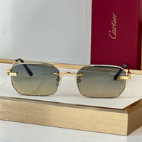 Cartier PREMIÈRE DE CARTIER CT0820S Glasses 🐆