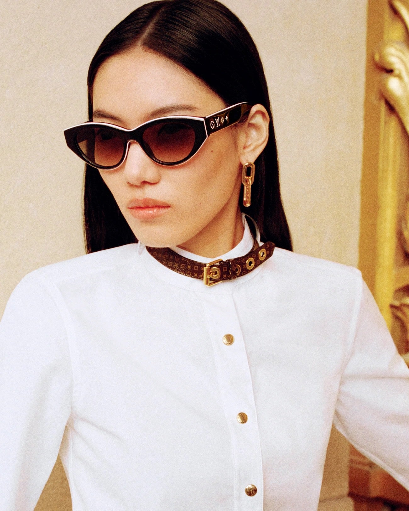 Louis Vuitton Z2686U New LV Line Cat Eye Sunglasses