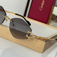 Cartier PREMIÈRE DE CARTIER CT0620S 001 Unisex Sunglasses 🐆