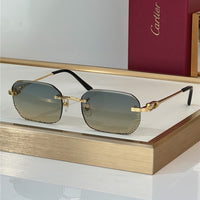 Cartier PREMIÈRE DE CARTIER CT0820S Glasses 🐆