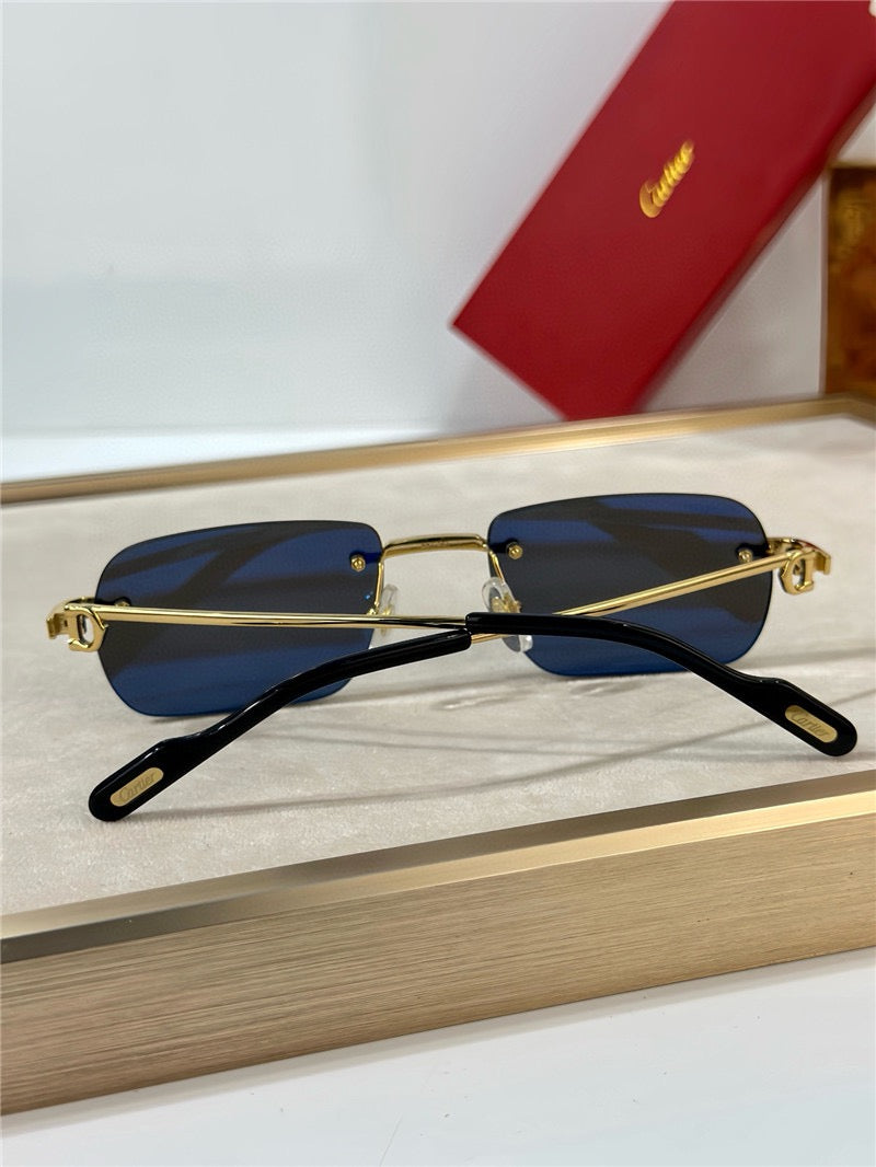 Cartier PREMIÈRE DE CARTIER CT0498S Sunglasses 🐆