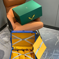 Goyard Bourget PM Trolley Case -9 Colors ✨