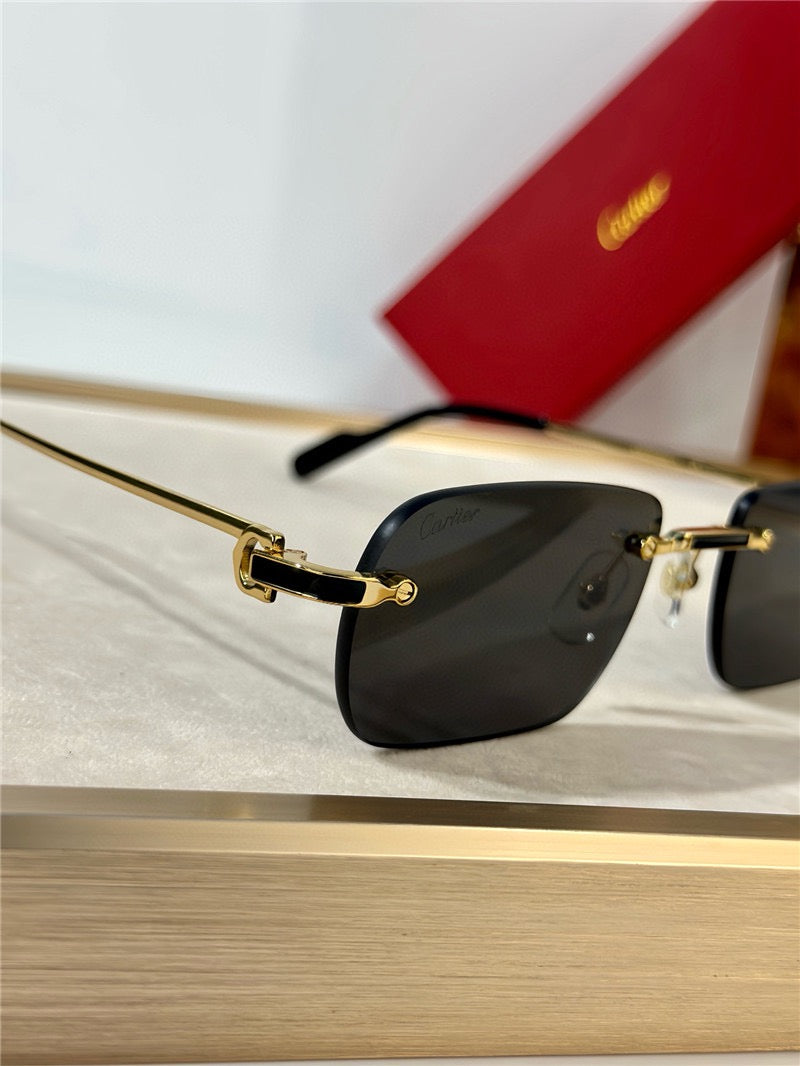 Cartier PREMIÈRE DE CARTIER CT0498S Sunglasses 🐆