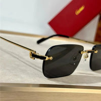 Cartier PREMIÈRE DE CARTIER CT0498S Sunglasses 🐆