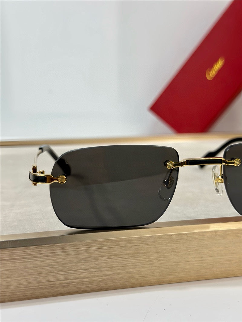 Cartier PREMIÈRE DE CARTIER CT0498S Sunglasses 🐆