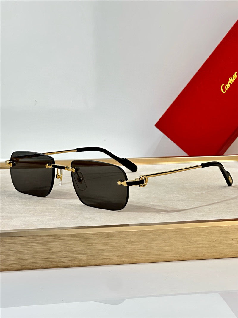 Cartier PREMIÈRE DE CARTIER CT0498S Sunglasses 🐆