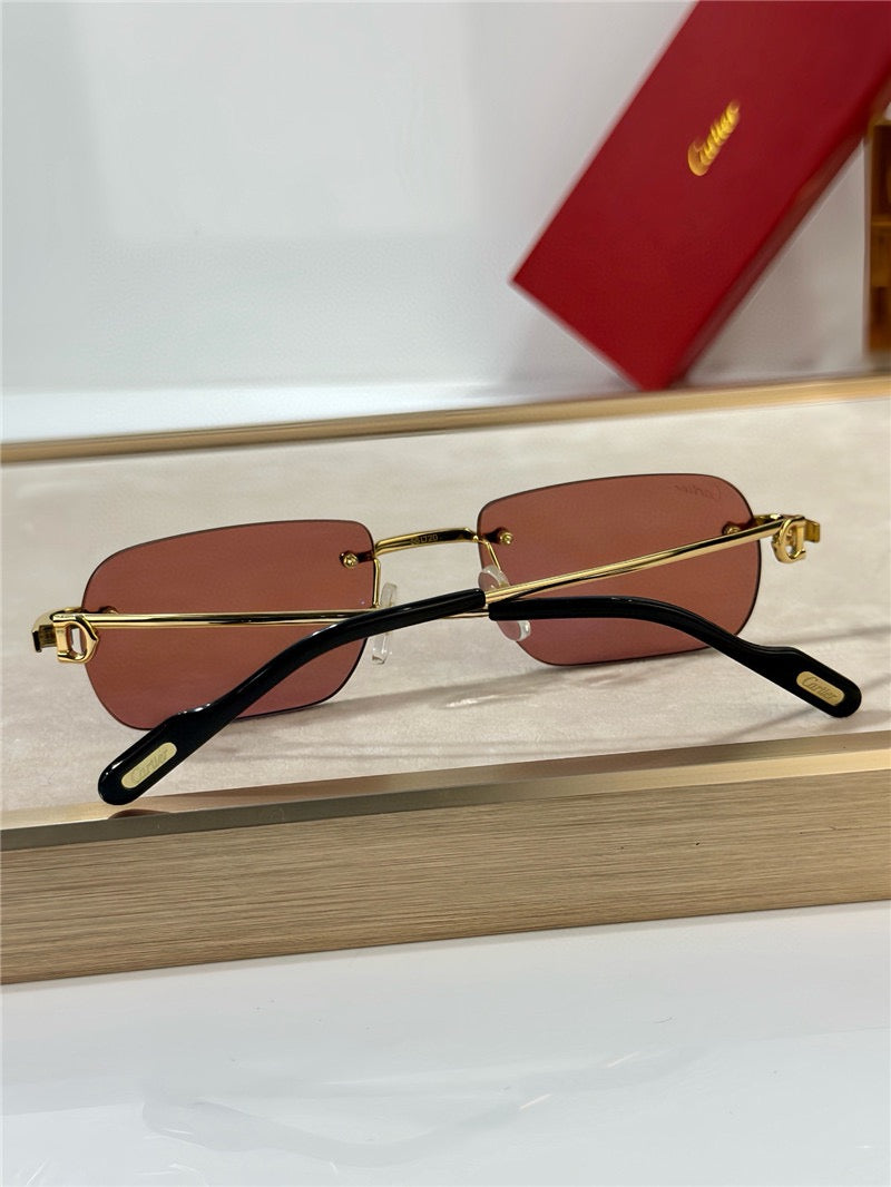 Cartier PREMIÈRE DE CARTIER CT0498S Sunglasses 🐆