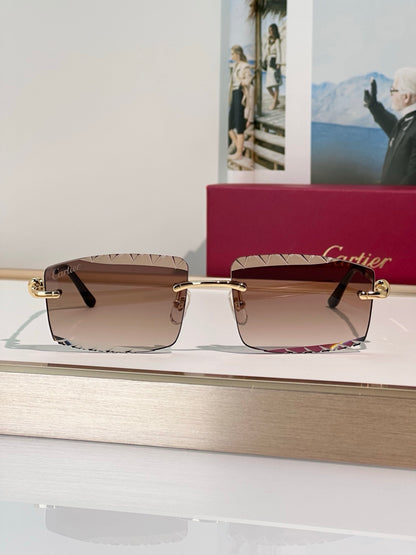 Cartier CLASSIC C DE CARTIER MOTIF CT0916 Sunglasses 🐆 - onlinechics.com