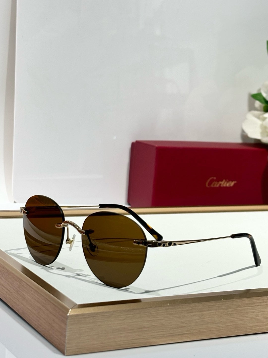 Cartier PREMIÈRE DE CARTIER CT0309O Sunglasses 🐆