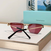 TIFFANY Tiffany & Co. TF3120 Women's Sunglasses ✨