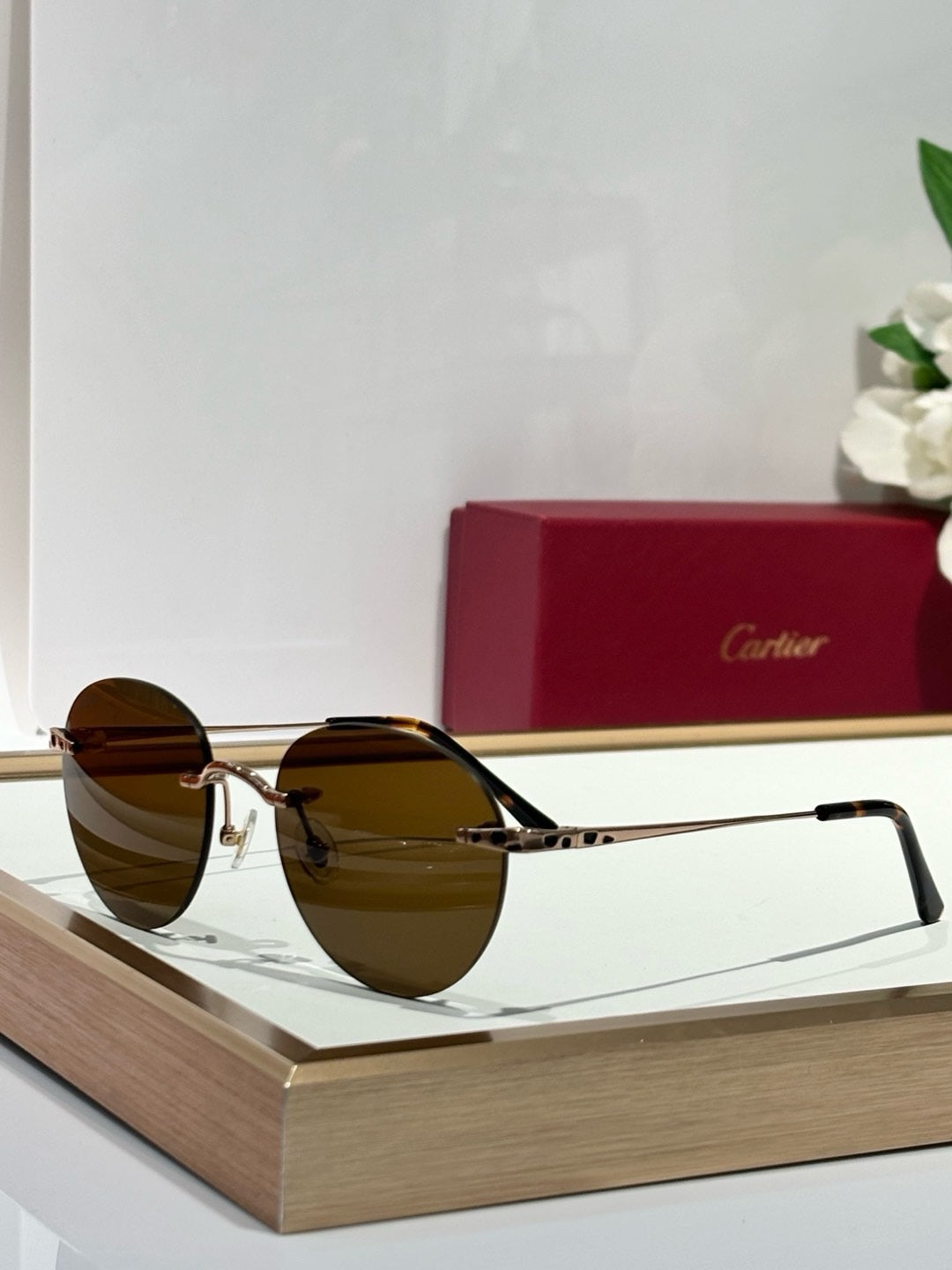 Cartier PREMIÈRE DE CARTIER CT0309O Sunglasses 🐆