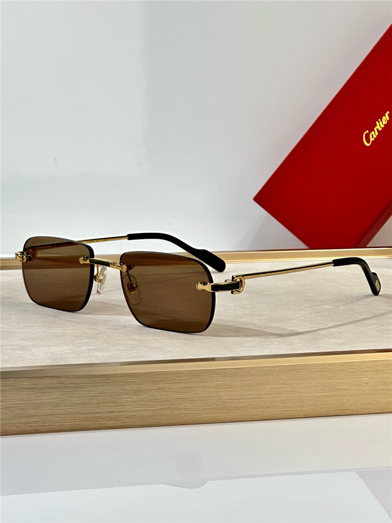 Cartier PREMIÈRE DE CARTIER CT0498S Sunglasses 🐆