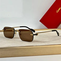 Cartier PREMIÈRE DE CARTIER CT0498S Sunglasses 🐆