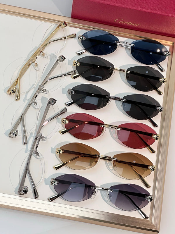 Cartier PREMIÈRE DE CARTIER CT0637O Glasses 🐆